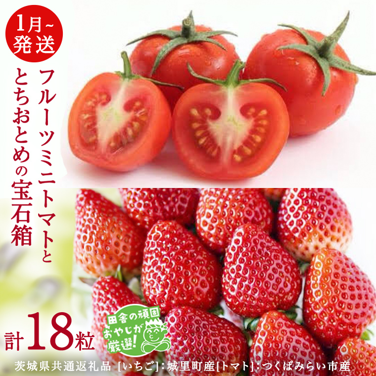 とちおとめ と フルーツミニトマトの宝石箱 18粒【1月から