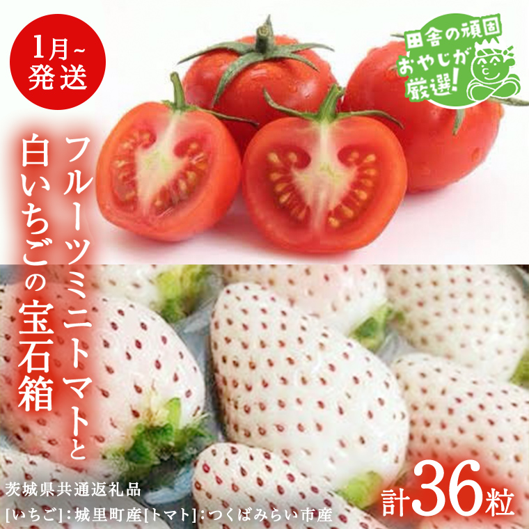 白いちご と フルーツミニトマトの宝石箱 36粒【1月から発