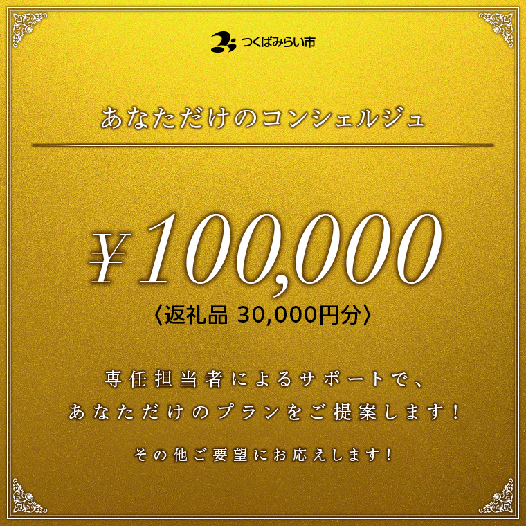 あなただけのコンシェルジュ10万円（商品代金30,000円分） [B