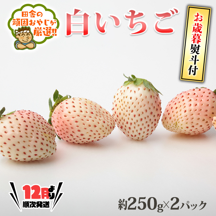 ＜お歳暮熨斗付＞白いちご約250ｇ×2パック 【12月より順次