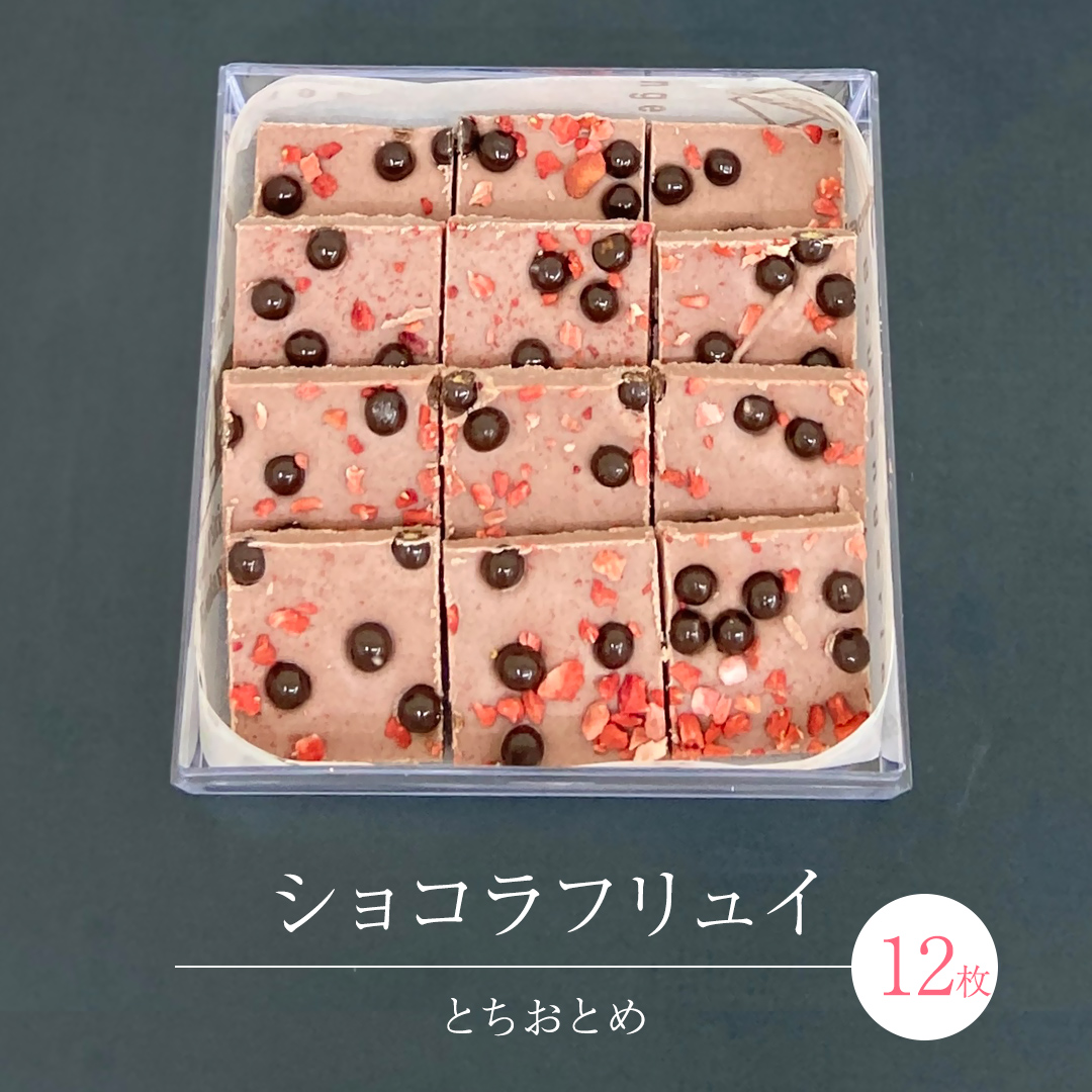 ショコラフリュイ とちおとめ 12枚 チョコレート チョコ ス