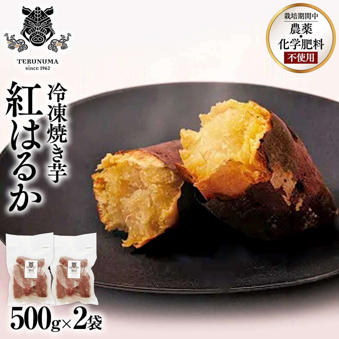 冷凍 焼き芋 1kg(500g×2袋) ギフト BOX 入 つくばみらい さつま