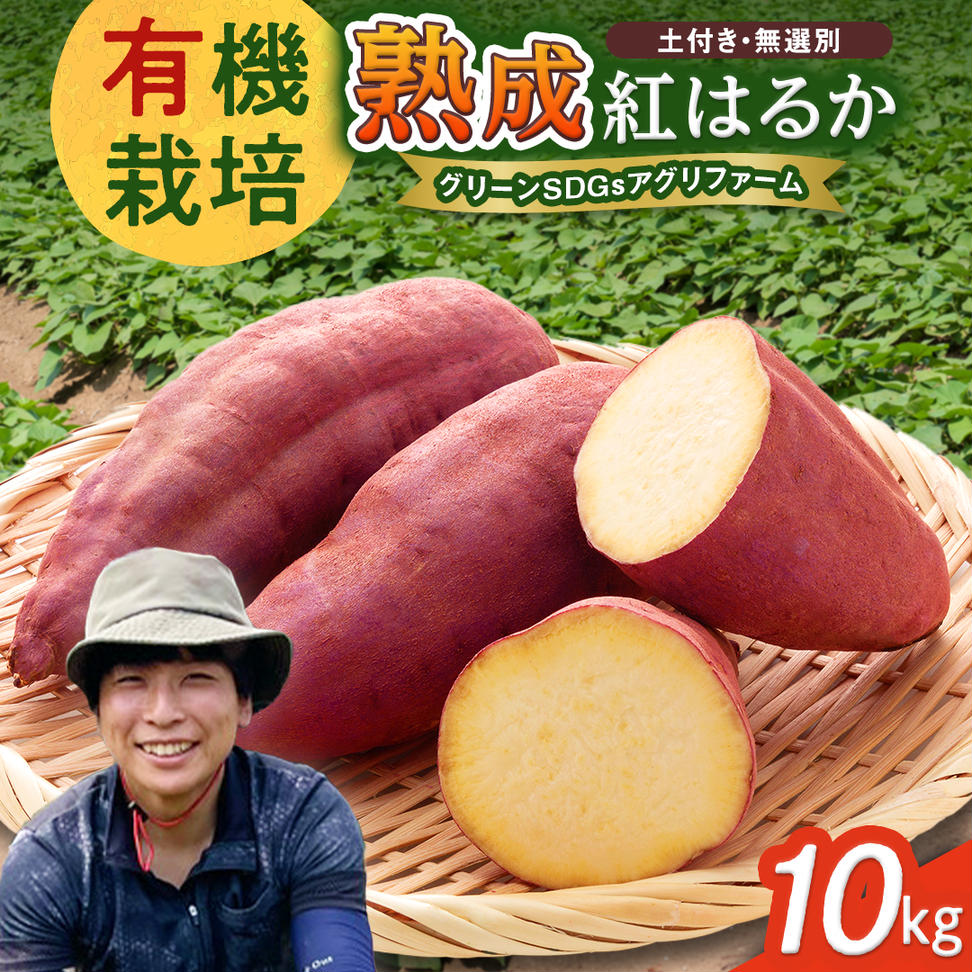 茨城県産 紅はるか 10kg 土付き 無選別 熟成 さつまいも 生芋