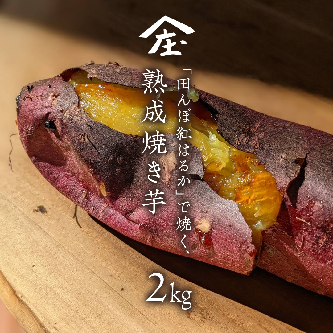 「田んぼ 紅はるか」で焼く、熟成焼き芋 2kg (500g×4梱包) 焼