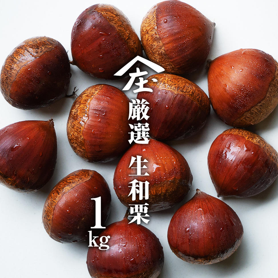 厳選 生和栗 1kg 【庄七農園】 栗 果樹 生栗 栗ご飯 渋皮煮