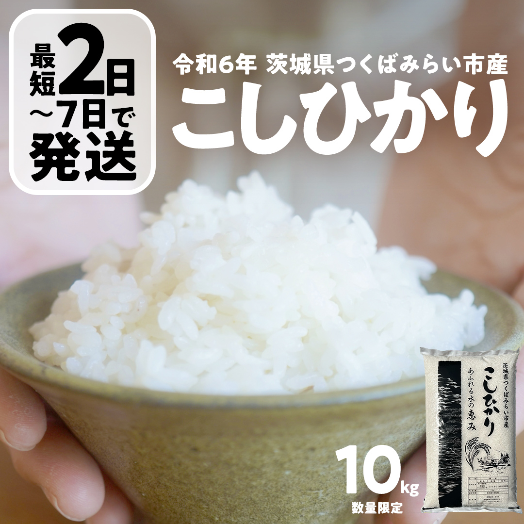 ＼ 最短 2日で発送 ／ コシヒカリ 10kg 令和6年産精米【 数量