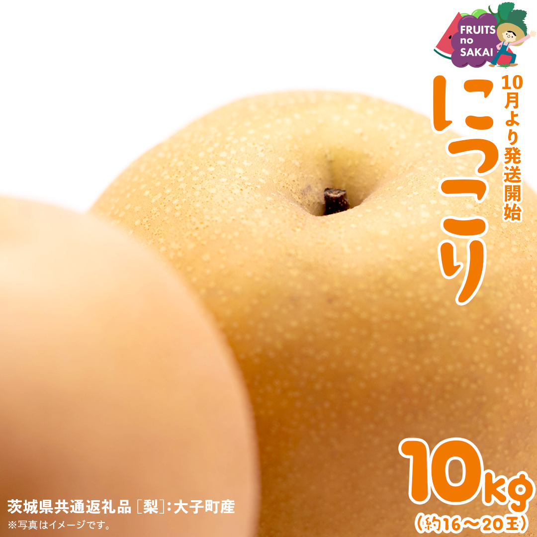 にっこり 梨 10kg （16～20玉）【2025年10月より発送開始】（茨