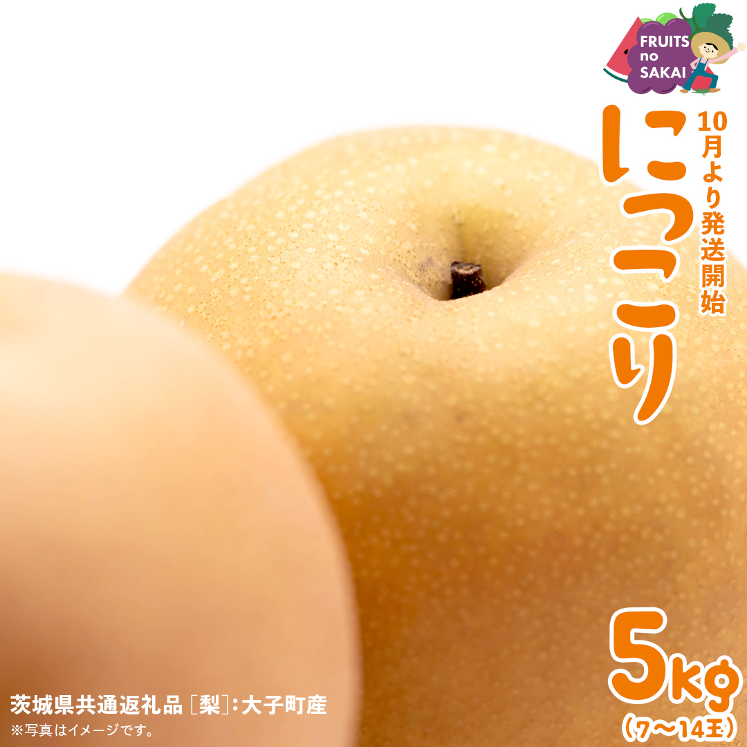 にっこり 梨 5kg （7～10玉）【2025年10月より発送開始】（茨