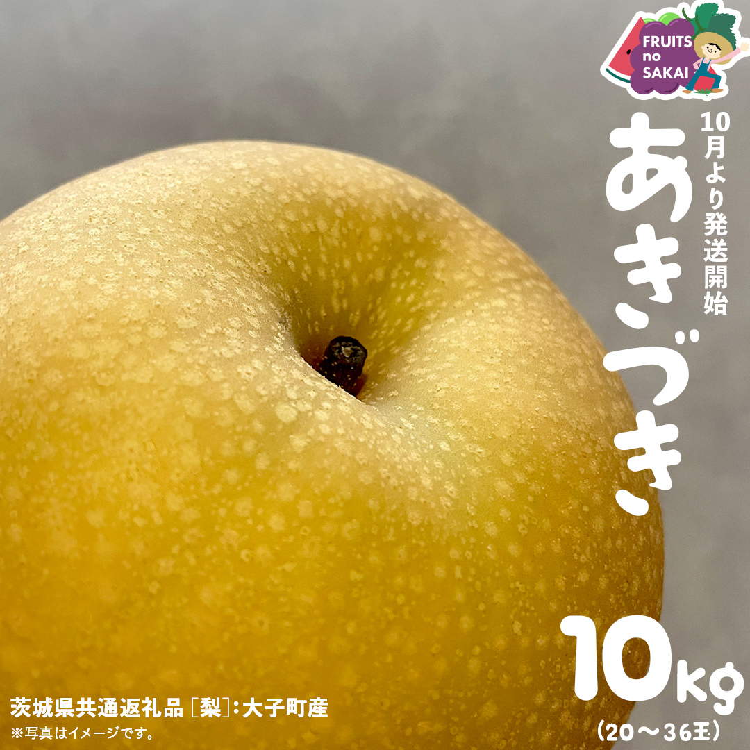 あきづき 梨 10kg （20～36玉）【2025年10月より発送開始】（茨