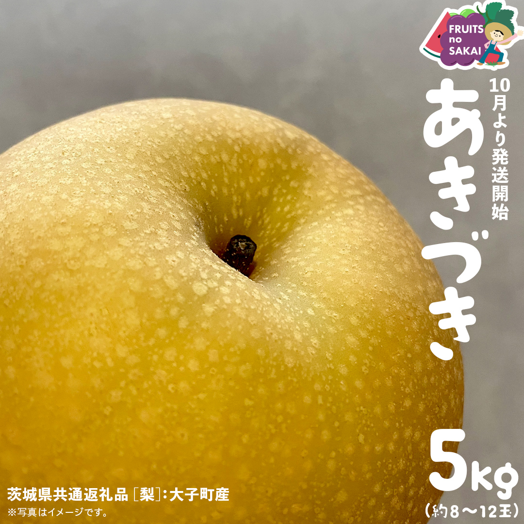 あきづき 梨 5kg （8～12玉）【2025年10月より発送開始】（茨