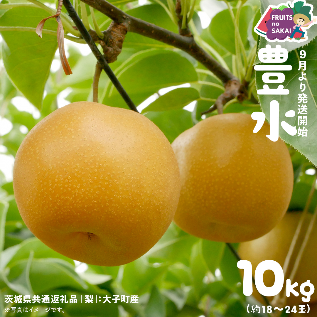 豊水 梨 10kg （18～24玉）【2025年9月より発送開始】（茨城県