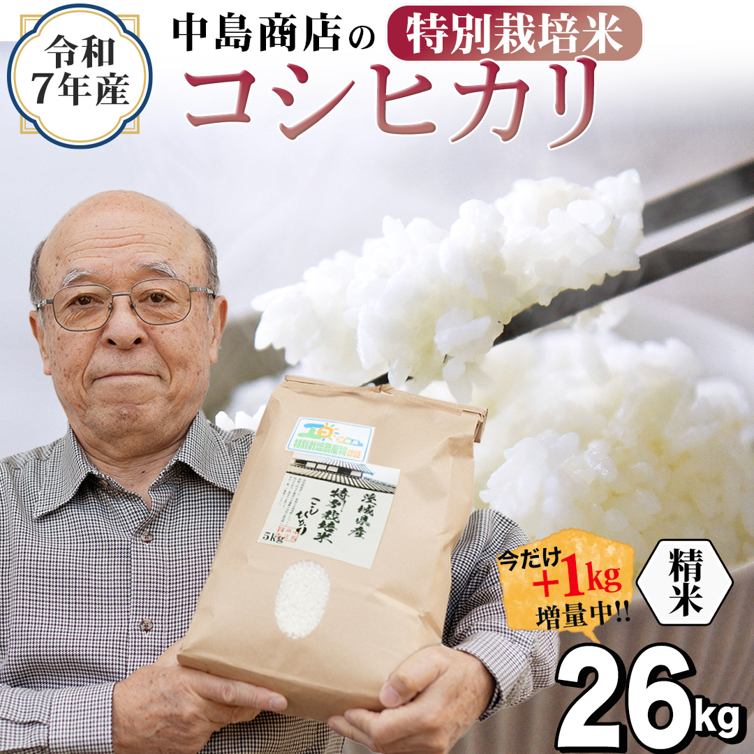 【1kg増量中】 令和7年産 茨城県産 精米 特別栽培米 コシヒ