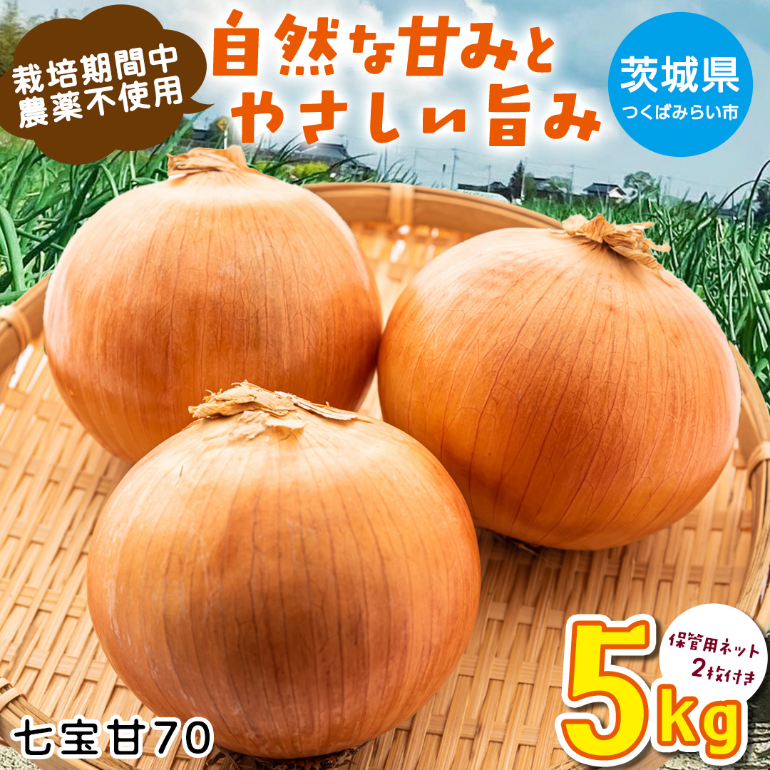 【先行予約】つくばみらい市産たまねぎ 5kg （七宝甘70）保