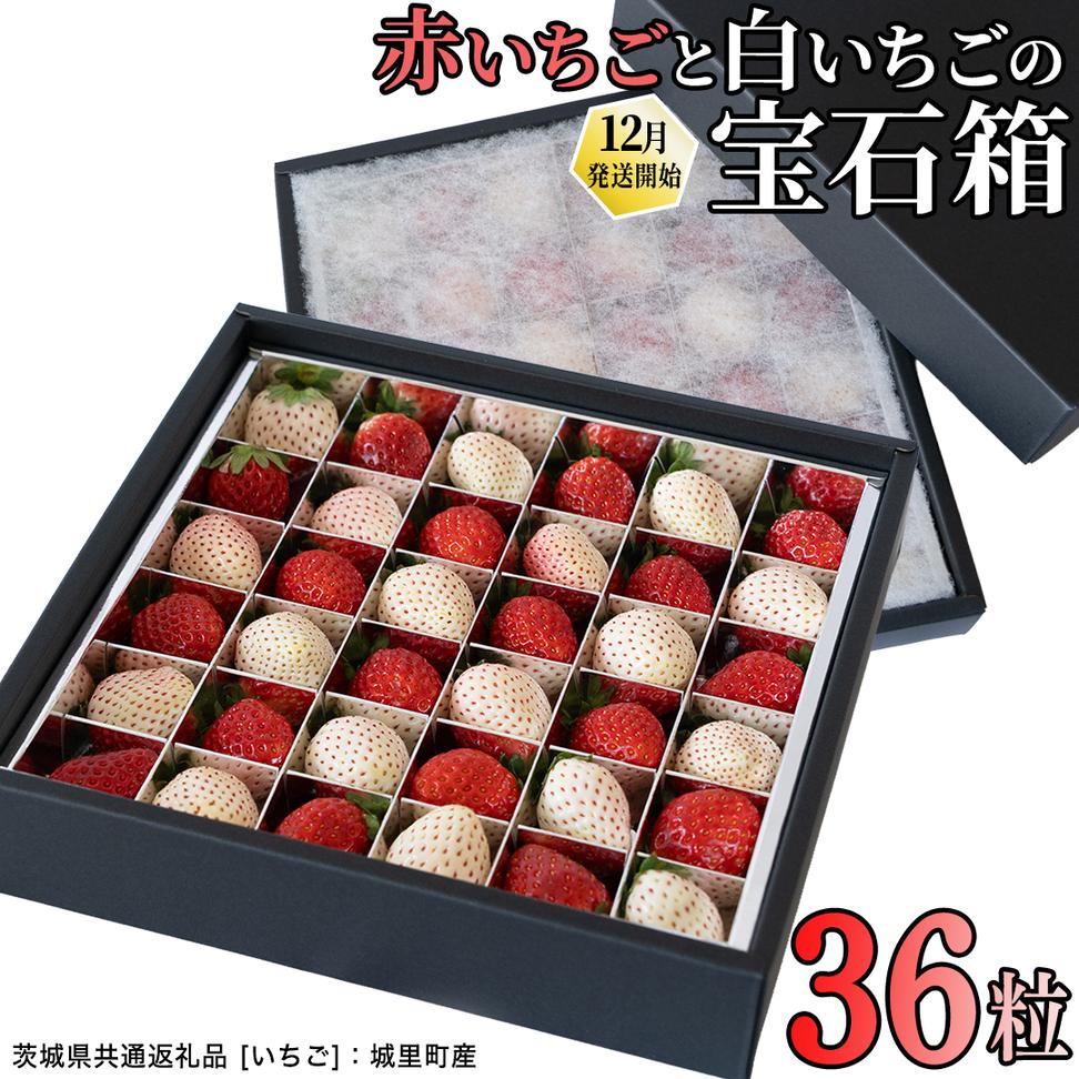 赤白いちごの宝石箱アソート 36粒 [2025年12月から発送開始](茨城県共通返礼品 [いちご]:城里町産) | いちご 苺 赤 イチゴ 白いちご 白イチゴ 宝石箱 [FC25-NT]