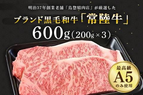 常陸牛A-5サーロインステーキ用 600g（200g×3） A5ランク A5 和牛 牛肉 3人前 【茨城県共通返礼品 / 茨城県産】 58-B