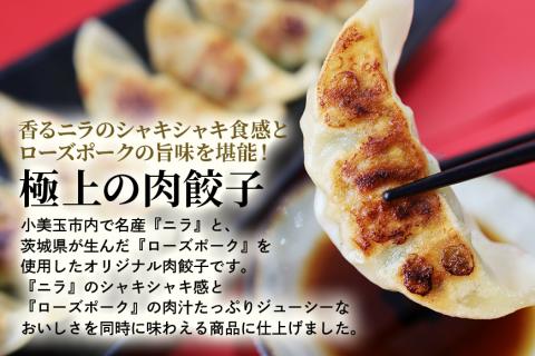 【数量限定】 ニラたっぷり肉餃子 2袋 17-U
