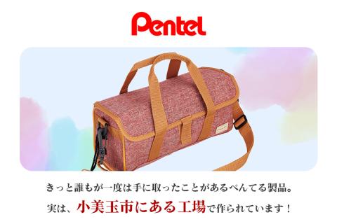 スケッチセット　ZST30　赤 33-F