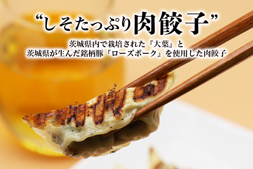 【数量限定】 しそたっぷり肉餃子 2袋 17-AN