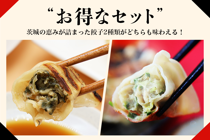 【数量限定】 ニラたっぷり肉餃子・しそたっぷり肉餃子 各1袋 17-AP