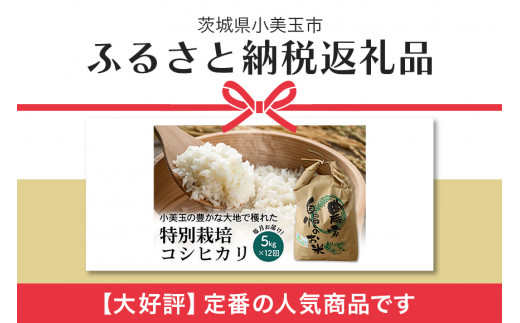 令和5年産 特別栽培コシヒカリ 5kg（12回発送） 22-D