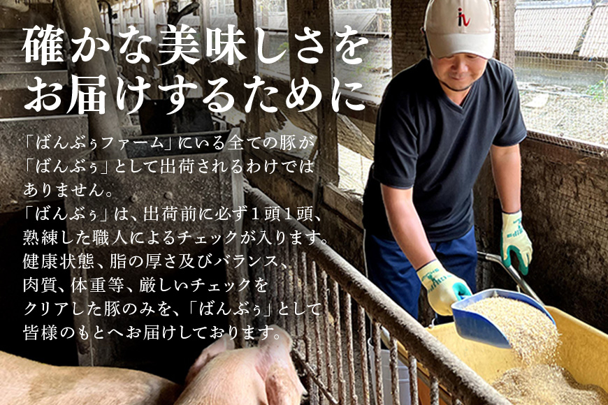 ブランド豚「ばんぶぅ」切り落とし 1.0kg(500g×2パック) 42-AT