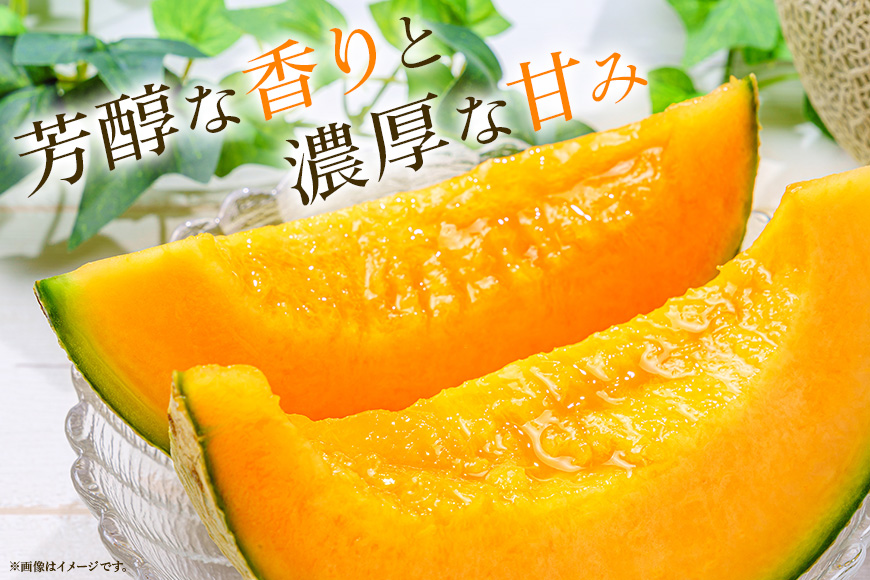 【数量限定・期間限定】 おみたまレノンメロン 赤肉 約5kg 4玉～6玉 メロン 秀品 めろん 果物 フルーツ 茨城県産 52-B 【4月20日まで受付・4月～5月上旬順次発送予定】