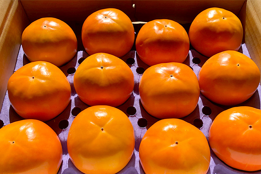 【数量限定・先行予約】 富有柿 2L 14玉 《11月13日～12月10日発送予定》 柿 かき カキ 果物 くだもの フルーツ (茨城県共通返礼品 石岡市) 67-B