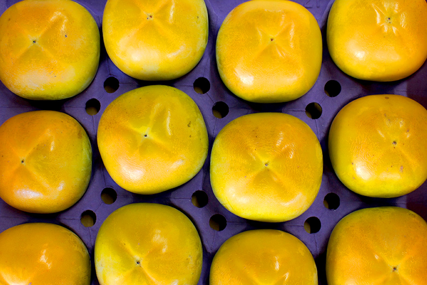 【数量限定・先行予約】 太秋柿 3L 12玉 《11月13日〜12月10日発送予定》 柿 かき カキ 果物 くだもの フルーツ (茨城県共通返礼品 石岡市) 67-C