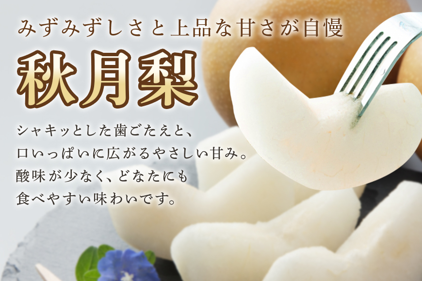 【数量限定・先行予約】 梨 秋月 3kg 2L～5L 6～9玉 なし ナシ あきづき アキヅキ 果物 フルーツ 国産 【9月10日～10月末発送予定】 70-C