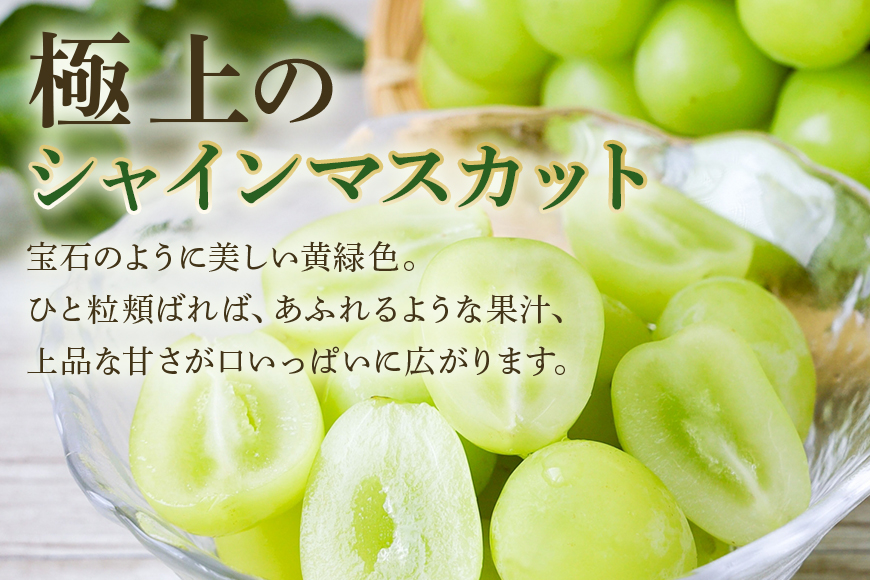 ＜2025年 先行予約＞ シャインマスカット 数量限定 1kg 農園直送 期間限定 果物 フルーツ ブドウ 葡萄 ぶどう 8月下旬以降発送 冷蔵 小美玉市 70-I