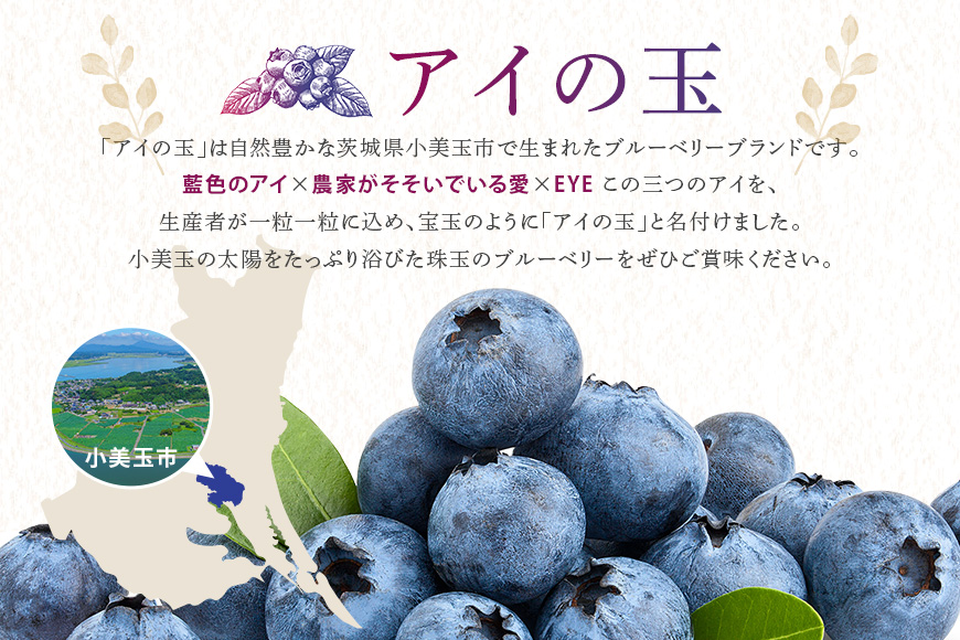 《数量限定・期間限定》 【アイの玉】毎日！朝摘み生ブルーベリー(2L) 73-A 【2026年6月15日より順次発送予定・7月31日に受付終了】