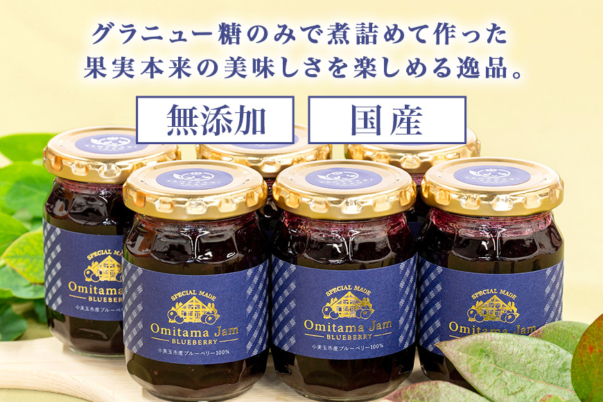 ブルーベリージャム6個 9-M