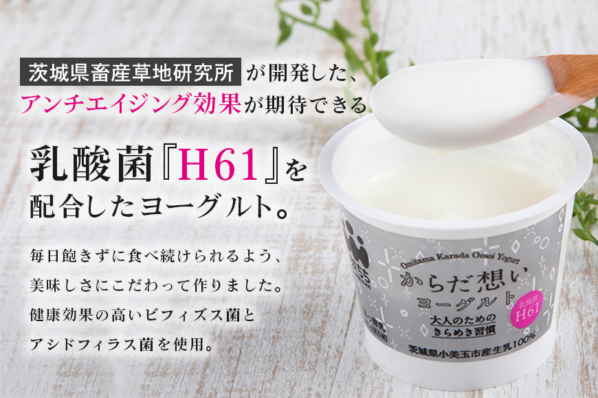 【定期便】H61乳酸菌「からだ想いヨーグルト」 20個×定期4回 1-O