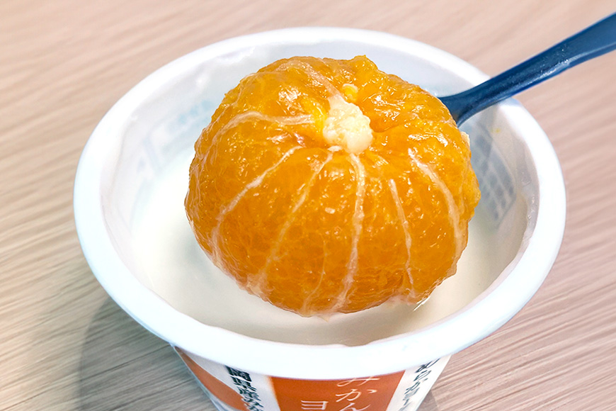 【2回定期便】まるごとみかんヨーグルト 100g×10個 ヨーグルト みかん まるごと 定期便 朝食 朝ごはん 朝活 乳製品 低糖 低カロリー ギフト 誕生日 内祝い スイーツ 腸活 善玉菌 善玉菌ケア 菌活 乳酸菌 1-S