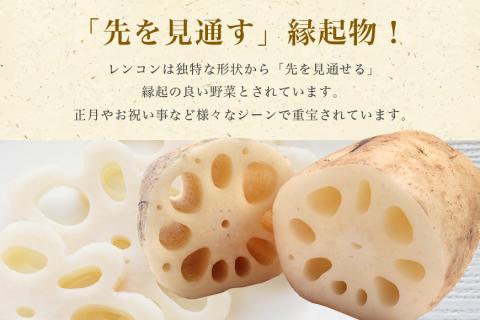 【 冬季限定 贈答用 】 野口誠の蓮根 約4kg れんこん レンコン 蓮根 野菜 国産 期間限定 57-B