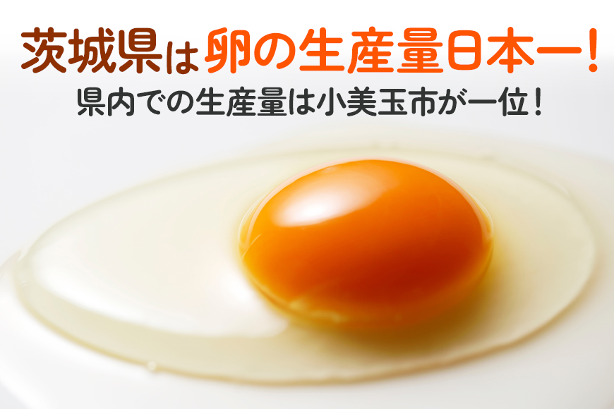 【定期便】鶏卵 （ギフト用化粧箱50ヶ（45＋補償5）入り ×2回発送） 15-D