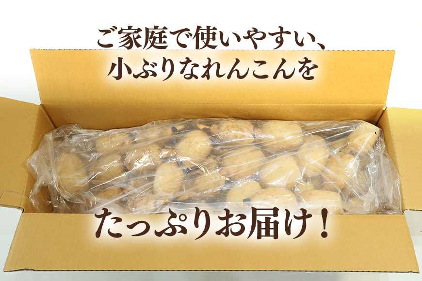 【数量限定・先行予約】ご家庭用ちょっと小さめ れんこん 約4kg れんこん レンコン 蓮根 茨城 国産 お正月 おせち 野菜 17-AF ＜11月中旬～12月上旬発送予定＞