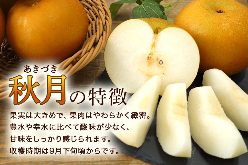 【数量限定 / 夏季限定】梨（秋月）約5kg 梨 なし ナシ 日本梨 あきづき アキヅキ 17-X 【9月上旬〜中旬発送予定】