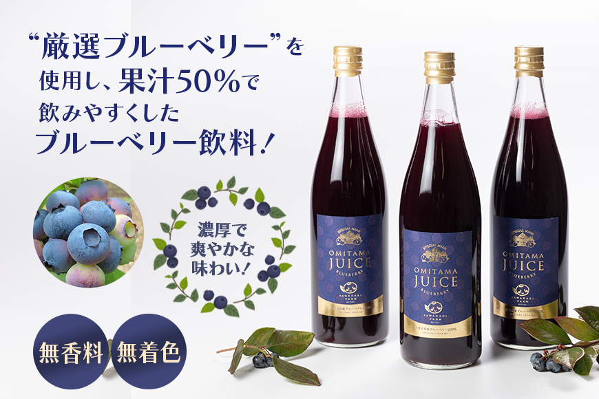 果汁50％ブルーベリー飲料3本セット 9-A