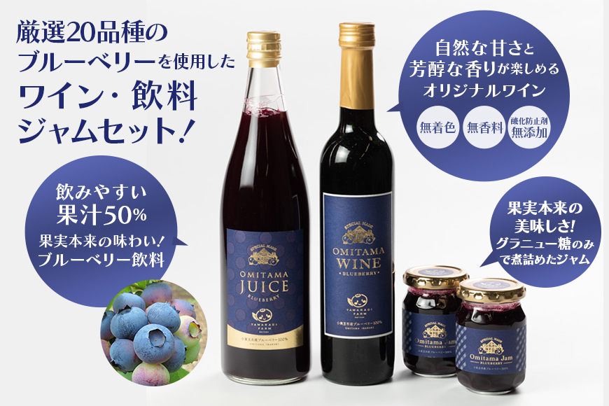 小美玉ブルーベリーワイン1本・果汁50％ブルーベリー飲料1本＆ブルーベリージャム2個セット 9-C