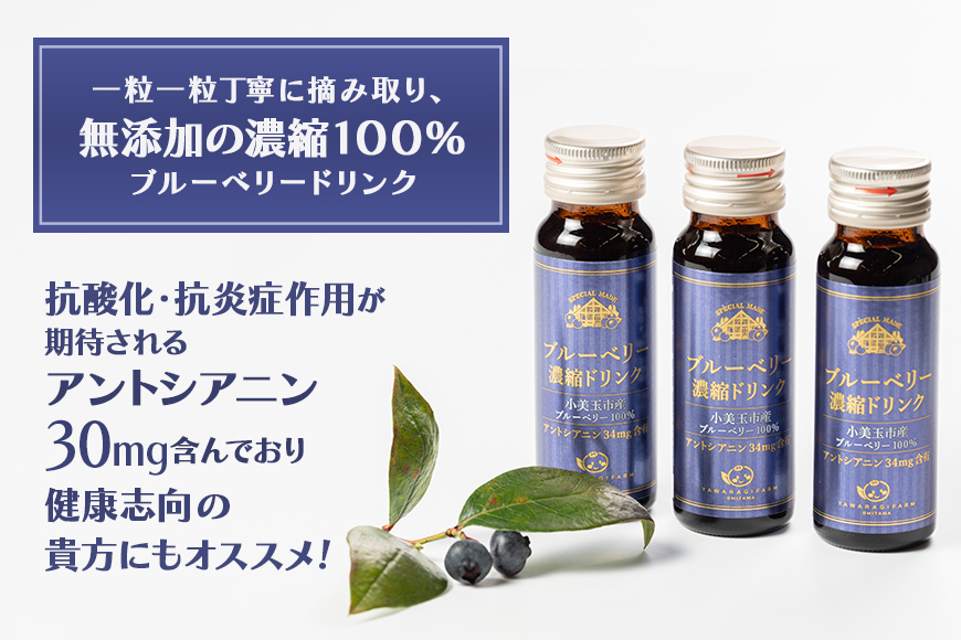濃縮100％ブルーベリードリンク 9-E