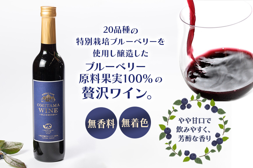 小美玉ブルーベリーワイン2本セット 9-F