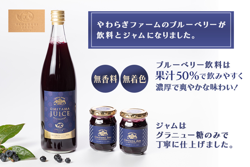 果汁50％ブルーベリー飲料2本＆ブルーベリージャム3個セット 9-G