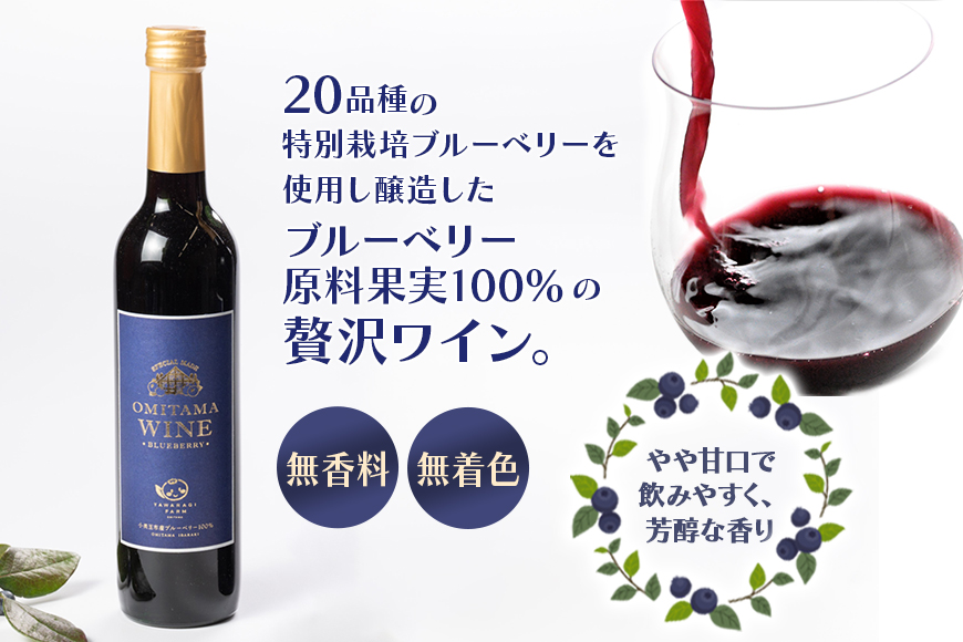 小美玉ブルーベリーワイン1本 9-J