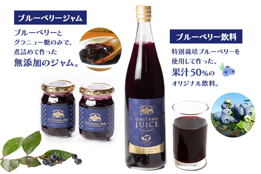 果汁50％ブルーベリー飲料1本＆ブルーべリ－ジャム2個セット 9-K