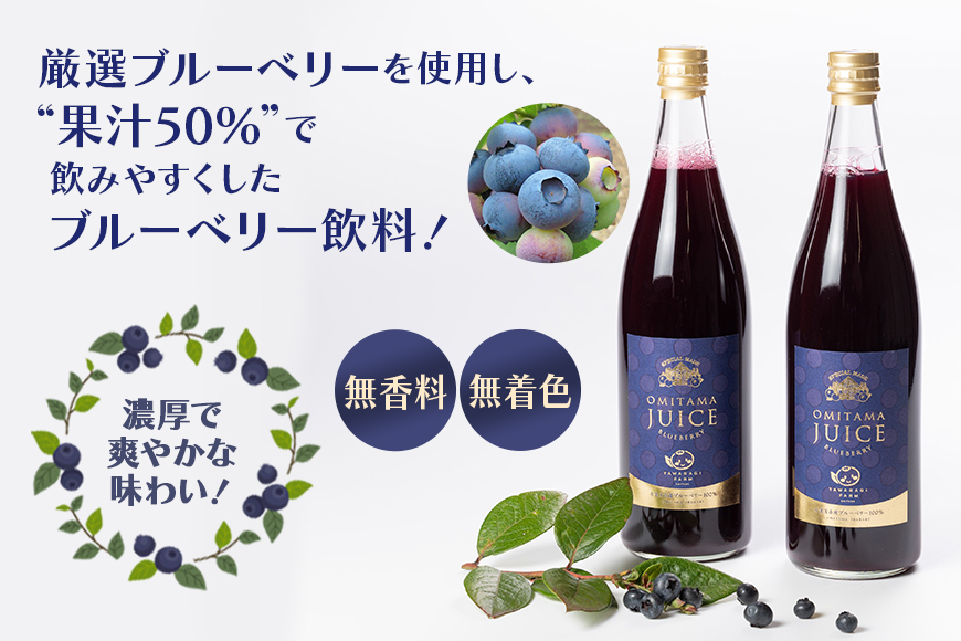 果汁50％ブルーベリー飲料2本セット 9-L