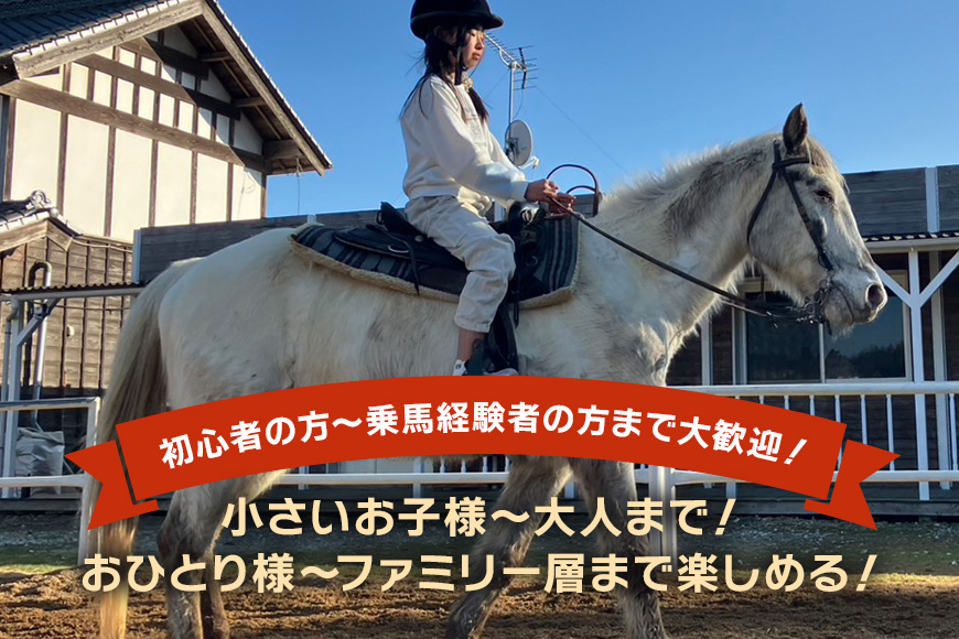 ★ROCKY★ 乗馬体験チケット 30分 体験 チケット 券 乗馬 馬 うま ウマ 子供 大人 初心者 経験者 歓迎 92-B