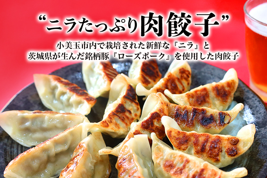 【数量限定】 ニラたっぷり肉餃子・しそたっぷり肉餃子 各1袋 17-AP