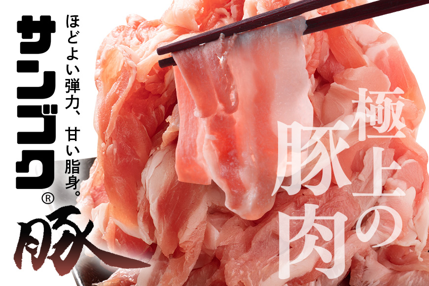 ブランド豚「サンゴク豚」 小間切れセット 2kg 小間切れ 細切れ こま切れ 豚こま 豚小間 豚小間肉 小分け 2-P