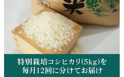 令和5年産 特別栽培コシヒカリ 5kg（12回発送） 22-D